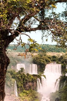 iguana falls in the distance with trees and water flowing from them to the ground