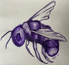 a drawing of a purple bee on white paper with black outline and pencil shading