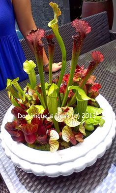 a white bowl filled with flowers sitting on top of a table next to a woman