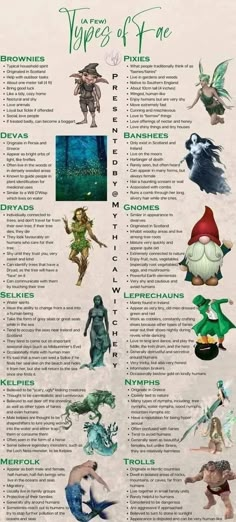 a poster with some different types of elves on it's back side, and the names