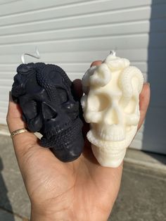 a hand holding two different types of skulls