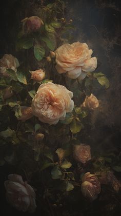 an oil painting of pink roses on a black background