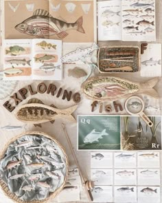 an assortment of fish are displayed on the table with papers and other items around them