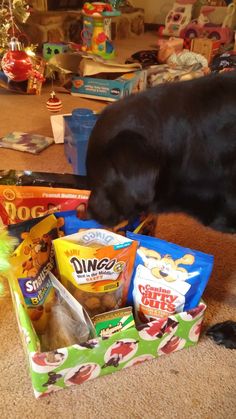 a black dog eating food out of a box on the floor next to other snacks