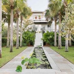 the house is surrounded by palm trees and water features a long walkway that leads up to the front door