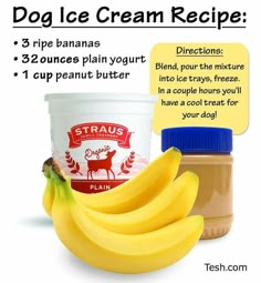 bananas, yogurt and peanut butter are featured in this ad for dog ice cream recipe