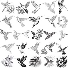 a bunch of birds flying around in the air with flowers on their backs and wings