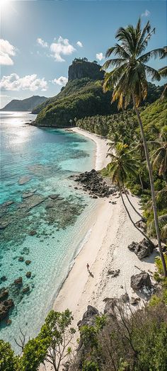 the beach is surrounded by palm trees and clear water