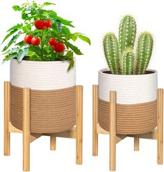 two planters with plants in them sitting next to each other on wooden stands,