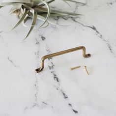 a pair of brass handles on a marble counter top with an air plant in the background