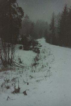 a snowboarder is going down a snowy hill with trees in the back ground