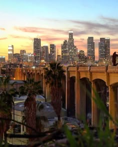 a city skyline with palm trees in the foreground and a train on tracks above it