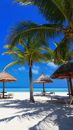 palm trees and umbrellas line the white sand beach