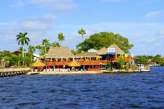 an island with thatched roof houses and palm trees on the water's edge