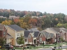 a row of houses with trees in the background