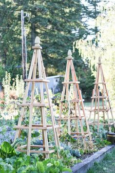 three small wooden trees are in the garden