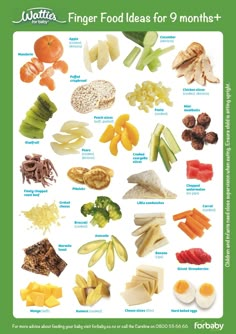 a poster with different types of food on it's sides and the words, finger foods for 9 months +