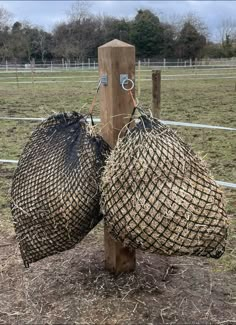 two burlap bags tied to a wooden post in a fenced area with barbed wire