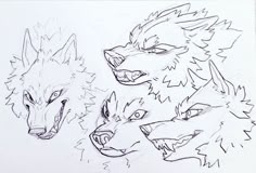 two drawings of wolf heads with one looking at the camera while another is staring ahead