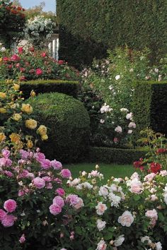 a garden filled with lots of flowers next to a lush green hedge covered in pink and white roses