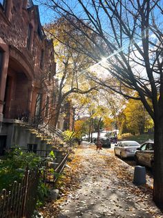 a leaf covered street with parked cars and trees in the foreground on a sunny day