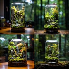 four different views of an aquarium with moss and rocks