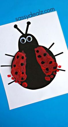 a ladybug craft made out of paper on a blue background