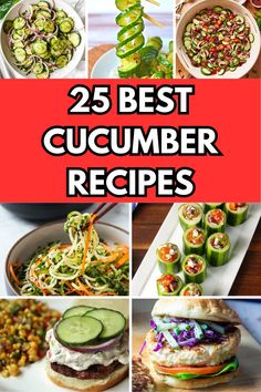 25 best cucumber recipes that are delicious and easy to make with fresh vegetables