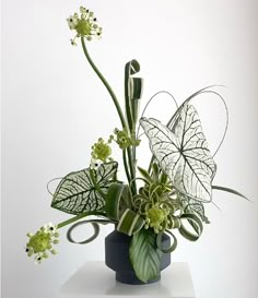 a vase filled with green and white flowers