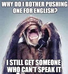 a monkey with its mouth open holding a phone up to it's ear and the words, why do i other pushing one for english? i still get someone who can't speak it