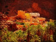 the desert is full of palm trees and buildings