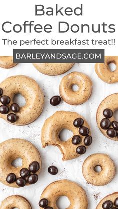 baked coffee donuts with chocolate chips on top