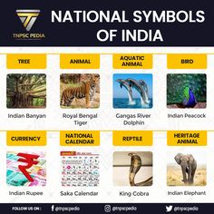 the national symbols of india are shown in this graphic above it is an image of different animals and their names