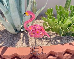 a pink flamingo sitting on top of a rock next to a cactus