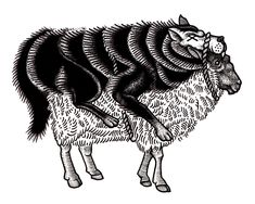 a black and white drawing of a sheep with long hair on it's back