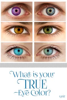 Baby Blue Eyes, Color Quiz, Model Citizen, Mrs Hudson, Long Hair Tips, Color Quotes, Baby Blues, Fun Quizzes, Irises