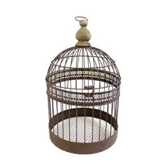 a bird in a cage on a white background