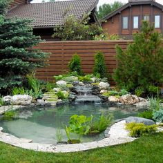 a small pond in the middle of a yard