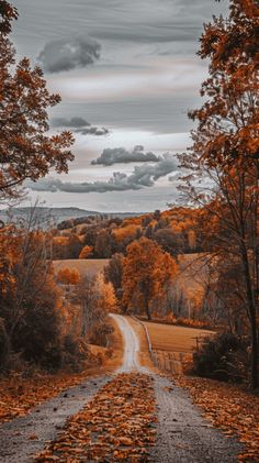 an empty dirt road surrounded by trees with fall leaves on the ground and cloudy sky