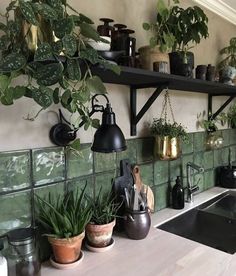 a kitchen with green tiles and potted plants on the shelf above the sink,