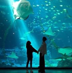 two people holding hands in front of an aquarium with fish and rays coming through the water