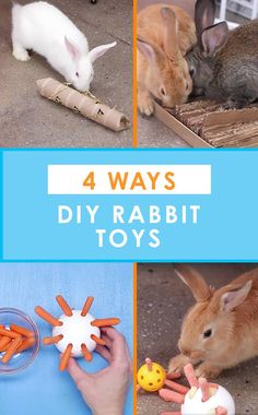 four different pictures of rabbits and carrots with the words 4 ways diy rabbit toys