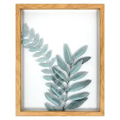 an image of a leaf in a frame on a white background with wood trimmings