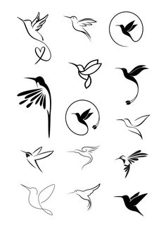 birds flying in the air with different shapes and sizes on their wings, including one bird