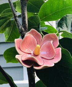 a pink flower sitting on top of a green leaf covered tree branch in front of a house