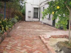 an orange tree in front of a house with brick patio and steps leading up to it