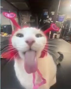 a cat with its tongue hanging out and some hearts on it's head is making a funny face