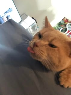 an orange cat laying on top of a bed with its tongue hanging out to the side