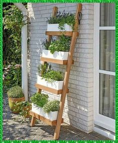 a wooden ladder with plants growing on the side of it and potted plants in front