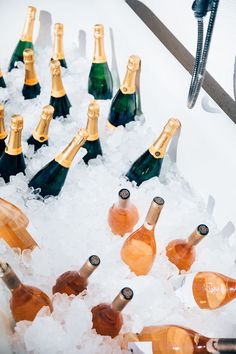 there are many bottles of champagne in the ice